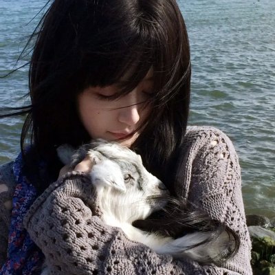 流星侠